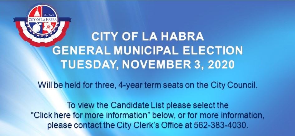 2020 Election Candidates Website Flash Notice V2