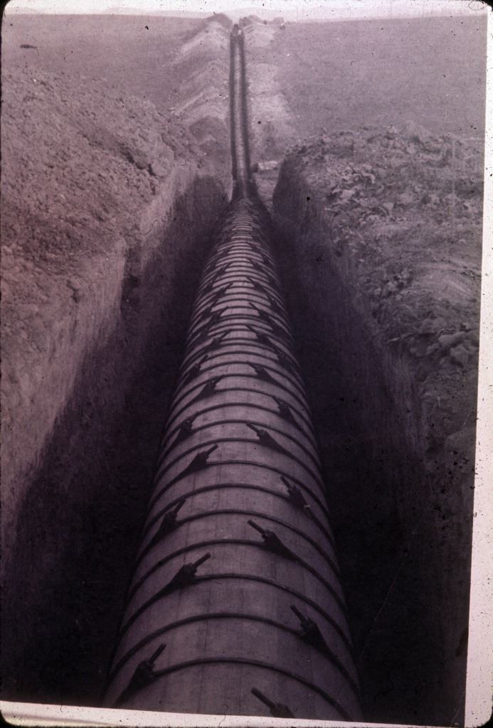 Old redwood pipeline from E. Whittier to La Habra maybe 1906