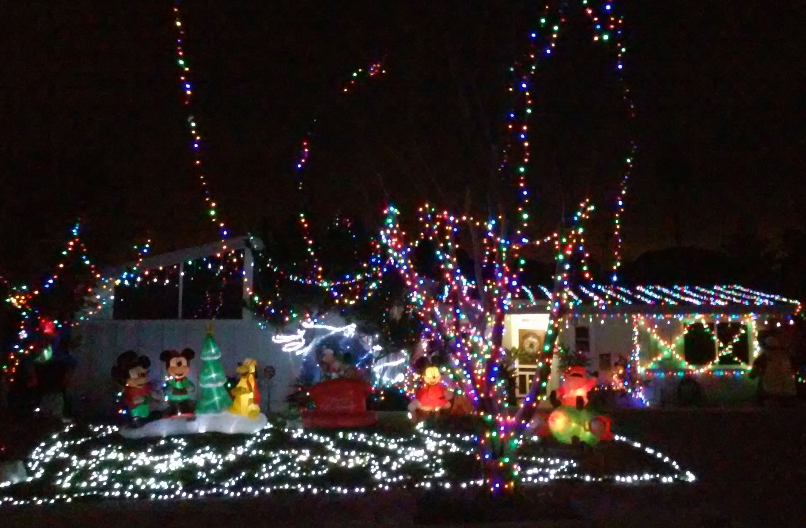 pg 12  beautification committee article photo