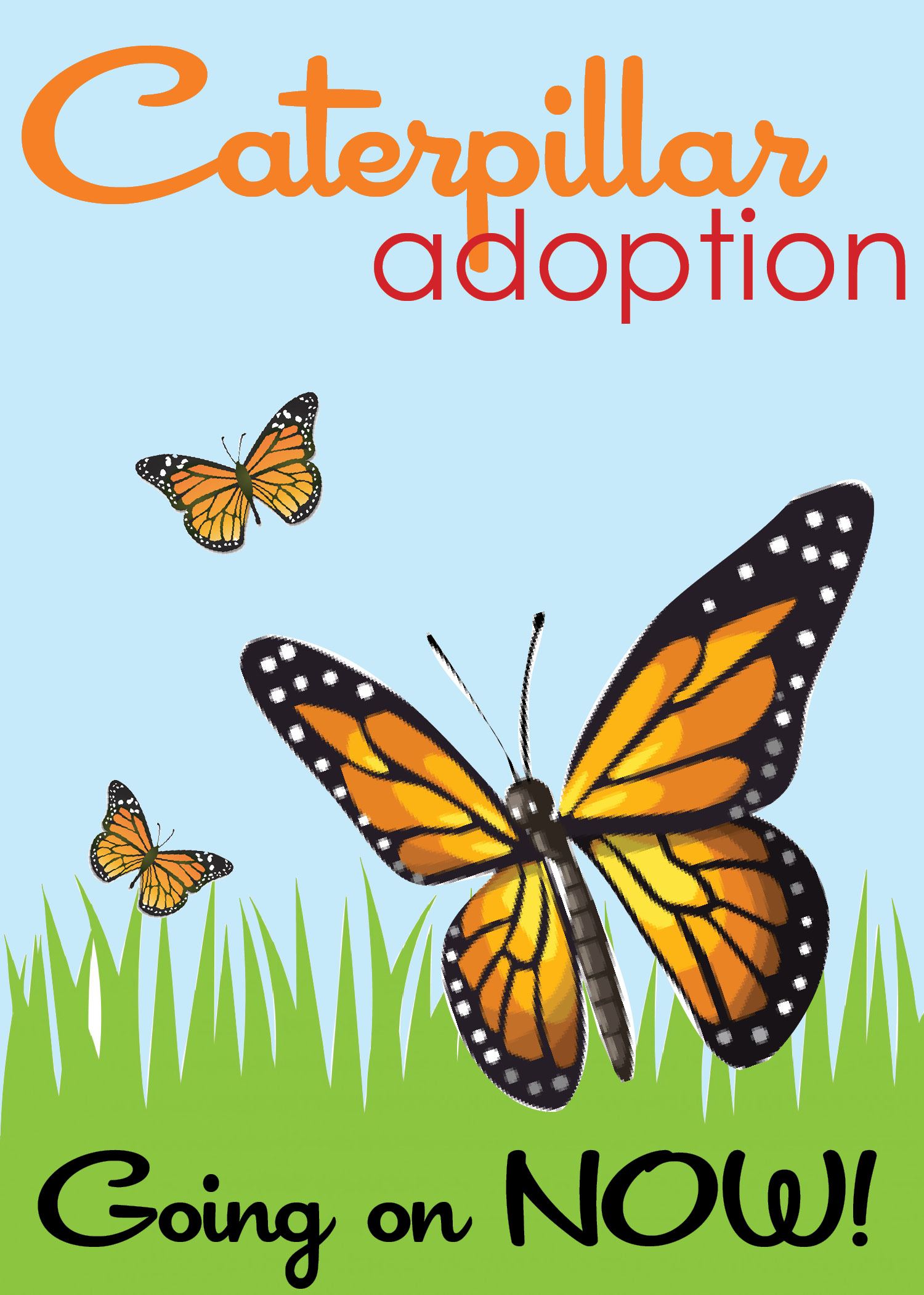 caterpillar adoption