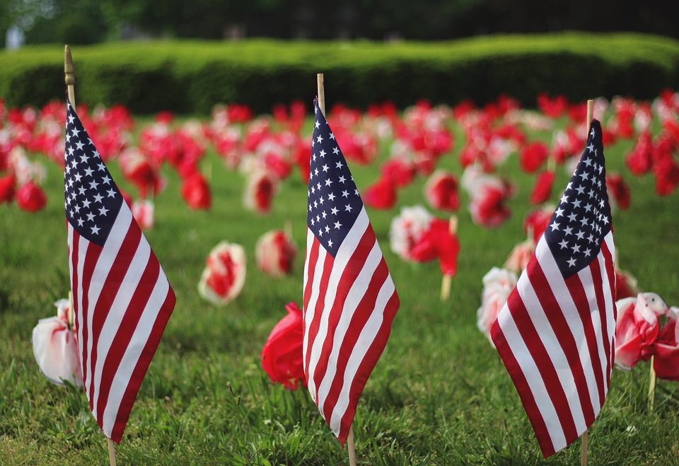 American Flags on display for Memorial Day
